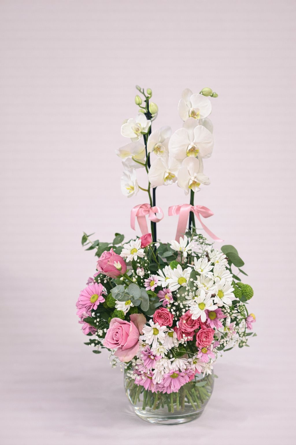 WhatsApp Image 2026-01-06 at 12.27.08