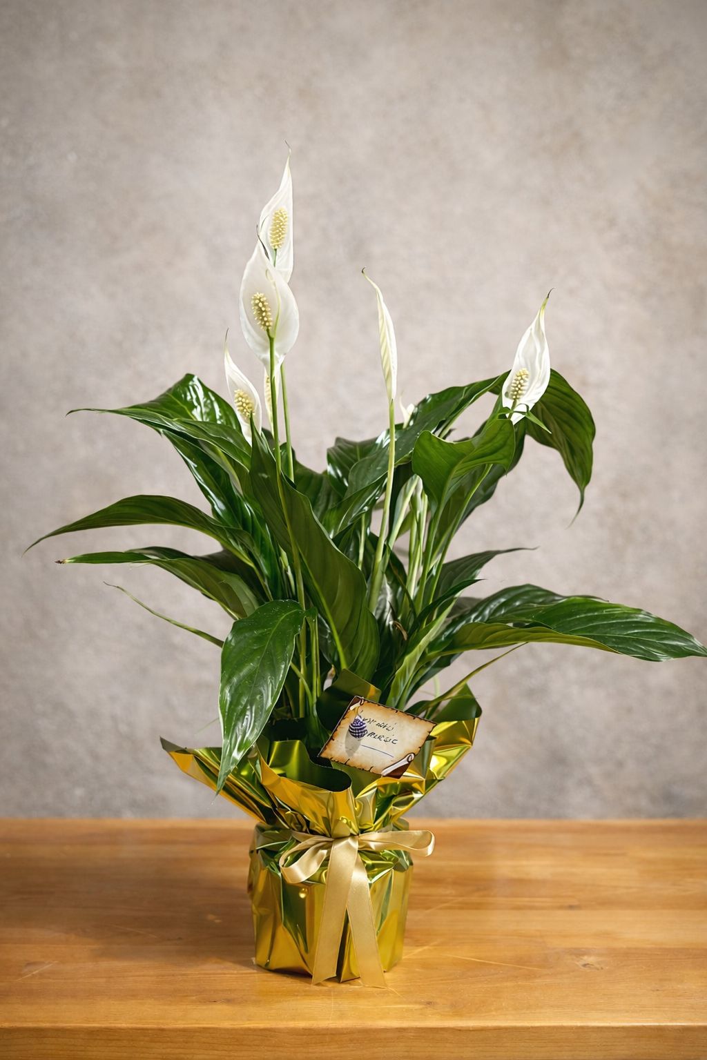 WhatsApp Image 2026-01-06 at 17.51.07